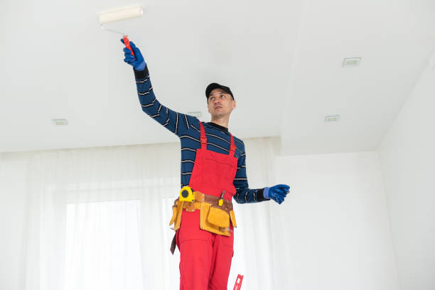 Best Drywall Sanding and Smoothing  in Lake Darby, OH